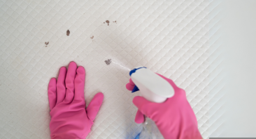 Petele de sânge pe canapea sau saltea – pașii corecți ca să scapi eficient