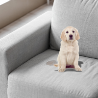 Înlăturare mirosuri