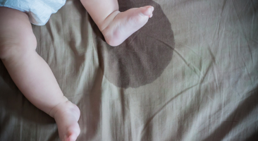 Urina pe canapea sau saltea – eliminare pată și miros, curățare profesională SpalaThor Cluj